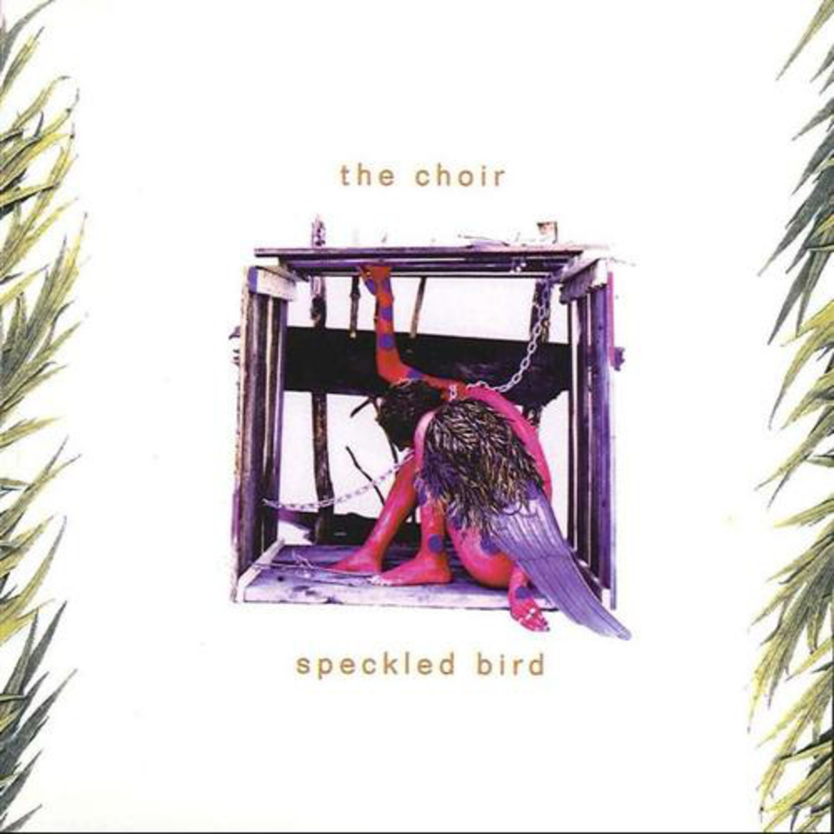 "Speckled Bird" by The Choir