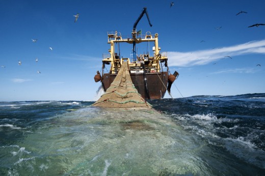 Industrial fishing off of West Africa, including much which is illegal, plays an important part in driving migrants north to Europe. 
