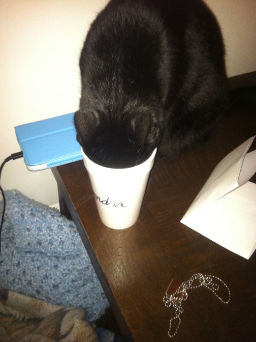 I'm not sure if Shadow identifies Sondra's cup because of her scent or because he can read her name written on the side.  Either way he always seems to find the one that's hers and manages to defile it.  
