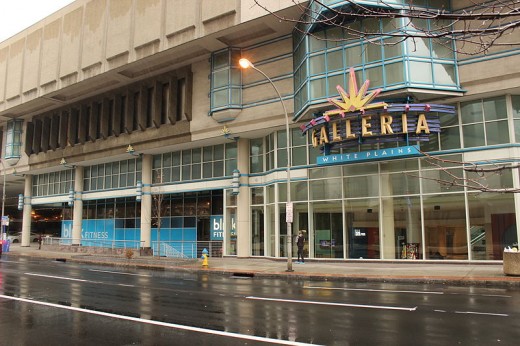 The Galleria in New York, a contemporary of Lansing and Meridian Malls formerly featuring plants, waterfalls and glass elevators!