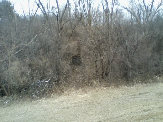 The entrance to this former beer storage tunnel (center of photo in the brush) is barely visible now in the early spring without the green foliage to obscure it's view. When summer comes, it will become invisible until late in the fall.