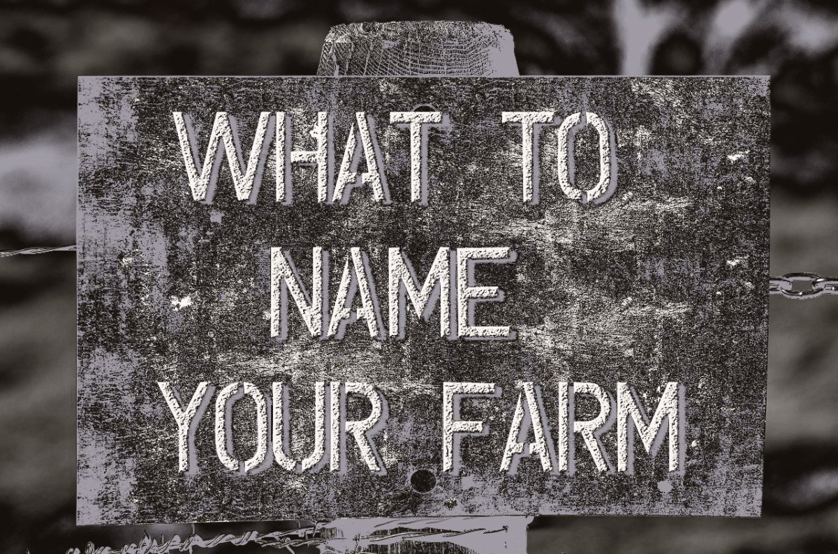 A Guide To Choosing The Best Farm Names Toughnickel
