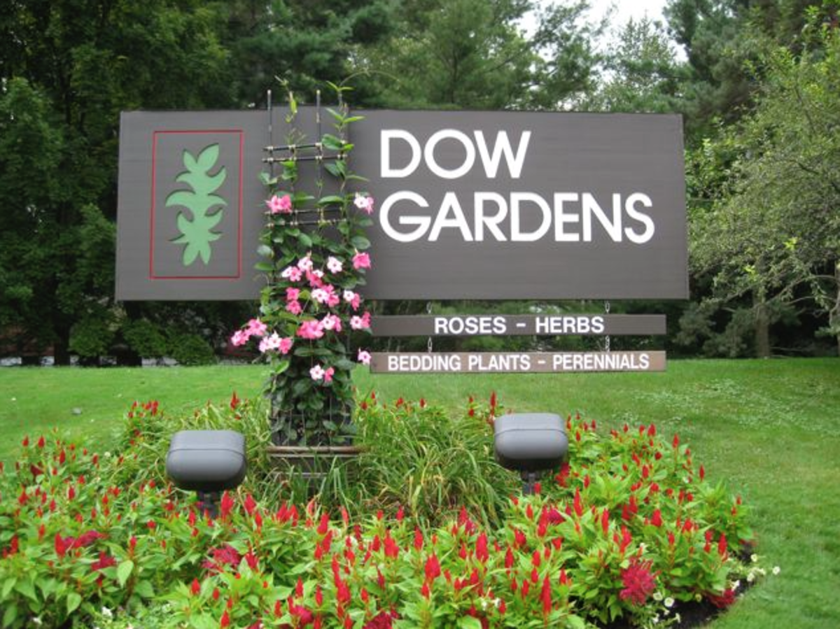 Butterfly Exhibit Dow Gardens In Midland Michigan Wanderwisdom