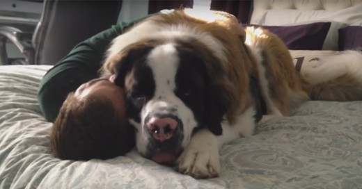 Dogs just want to be held and loved all day long!