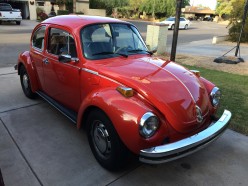 The Vintage Volkswagen Beetle Crowd