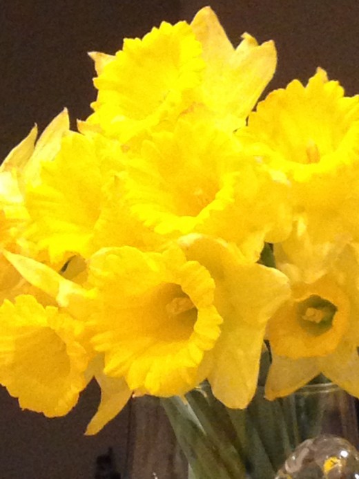Flowers for the home