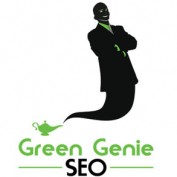 searchengine12 profile image