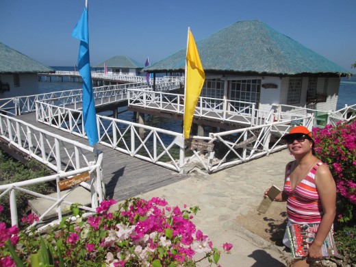 The cabins at STILTS
