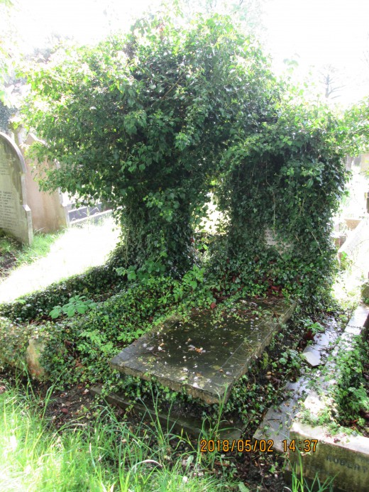 Strange how ivy will grow on one monument and not on its neighbour, although these two have been given a 'neighbourly' touch. Descendants might have forgotten them,  Mother Nature hasn't