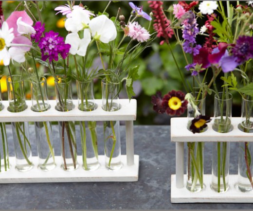 For a unique twist on a traditional bouquet give mom flowers in a test tube vase 