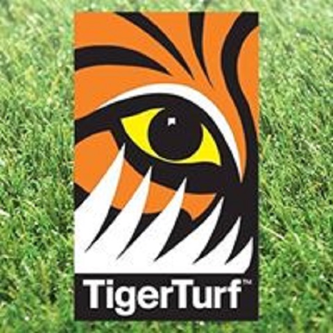 HubPages profile picture for @turf