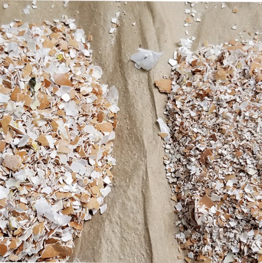 On the left, eggshells crushed with vitamin bottle, can and potato masher all look similar.  On the right, the metal mallet crushes the shells into smaller pieces. (The rubber mallet crushed the eggshells into sizes between these two)