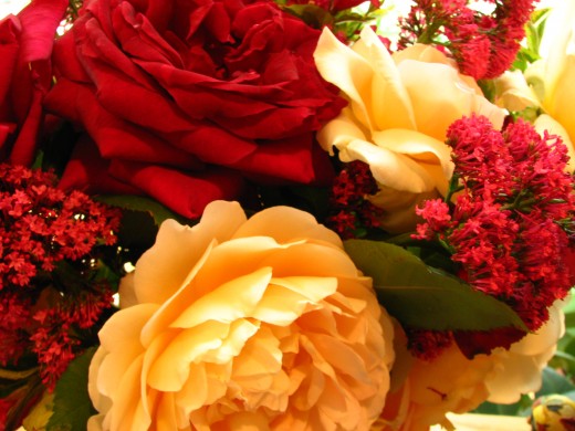 Mr. Lincoln and Graham Thomas roses from my garden.
