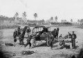 America's Civil War Beasts of Burden: Elephants and a Camel
