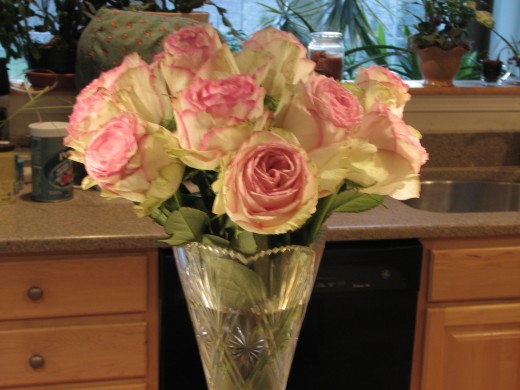 These lovely roses arrived through the mail for my birthday. They were already looking a little wilty when I got them. My technique freshened them up and they lasted for well over a week.