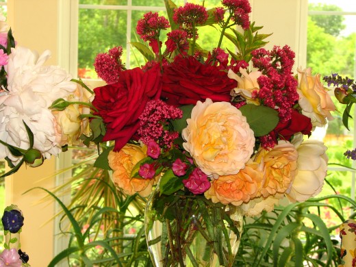 An arrangement of my fresh, garden roses