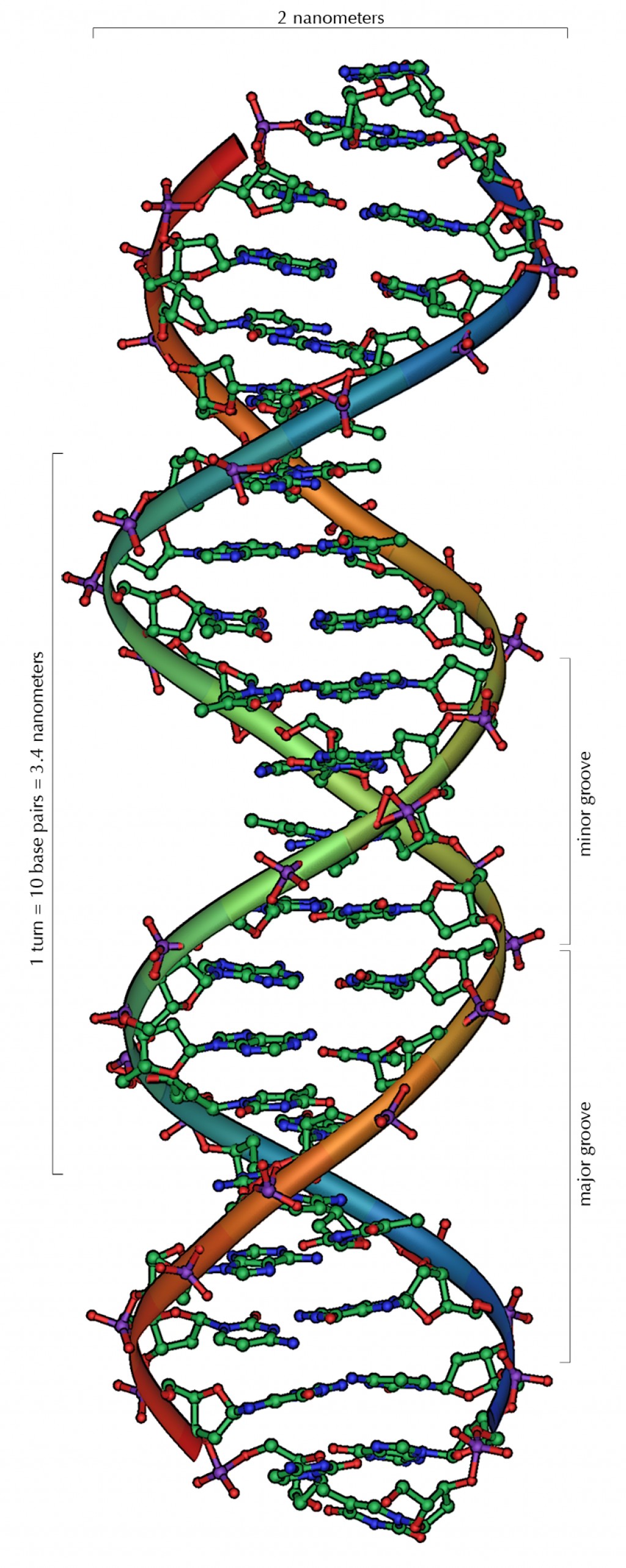 improve-your-future-health-by-a-genetic-predisposition-test-hubpages