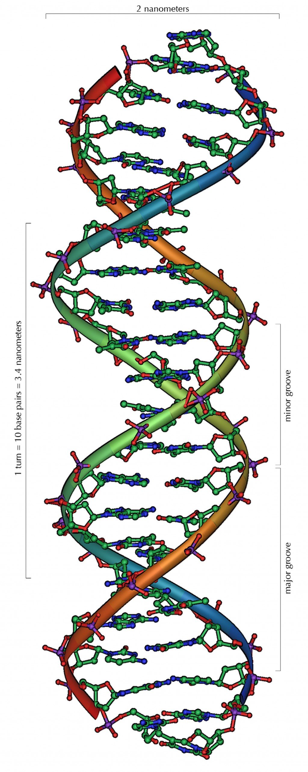 Improve Your Future Health By A Genetic Predisposition Test HubPages