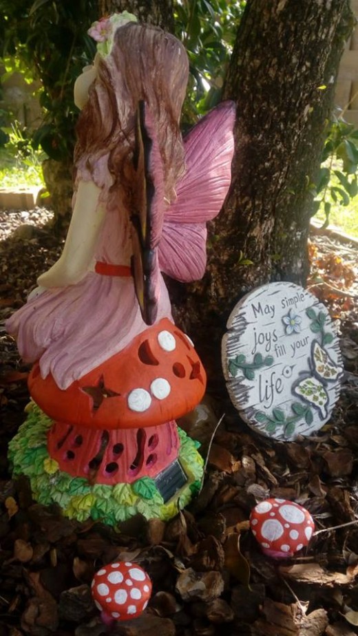 Fairy garden!