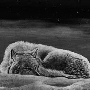ArcaneWolf profile image