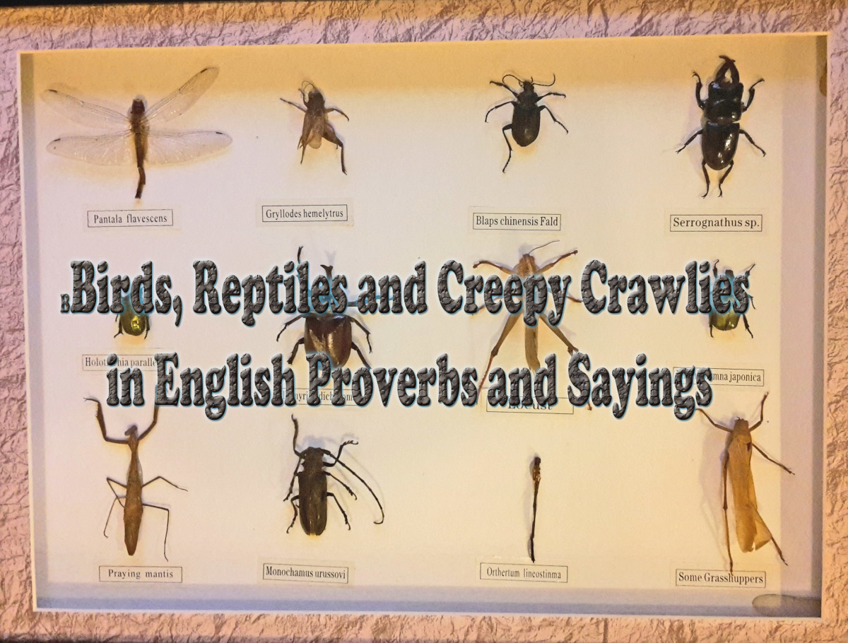 Birds, Reptiles and Creepy Crawlies in English Proverbs and Sayings
