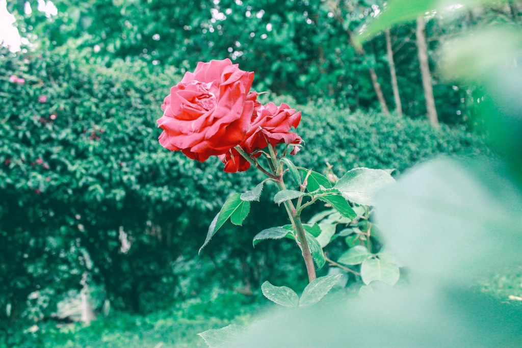 https://usercontent2.hubstatic.com/14064081_f1024.jpg