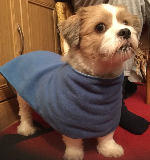 The face does not tell the story. That face is as he hates the camera