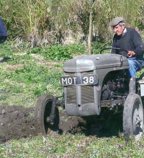 This is Ben just months after a major abdominal operation! October 2007. He's driving his ancient Ferguson tractor and preparing his market garden for next years sowing.  