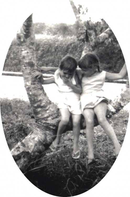 Sharing a secret on a bough of the old Frangipani tree. (by the Straits of Johore).  1966