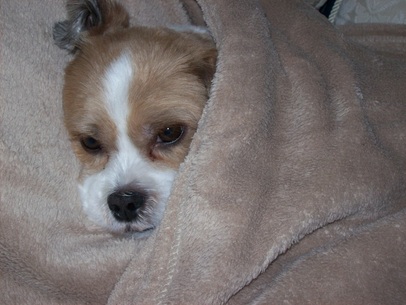 But sometimes if not well only an old throw will suffice