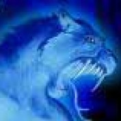 iio profile image