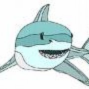 The Shark profile image
