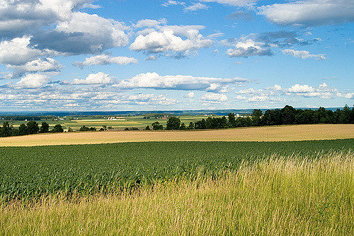 A scene of farmland in the valley