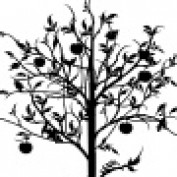paulamary profile image
