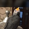 Maria719 profile image