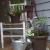 summer planting