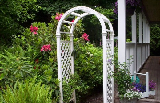 a garden arch leads back to the forest, but take the path to the left or you'll miss the shade garden