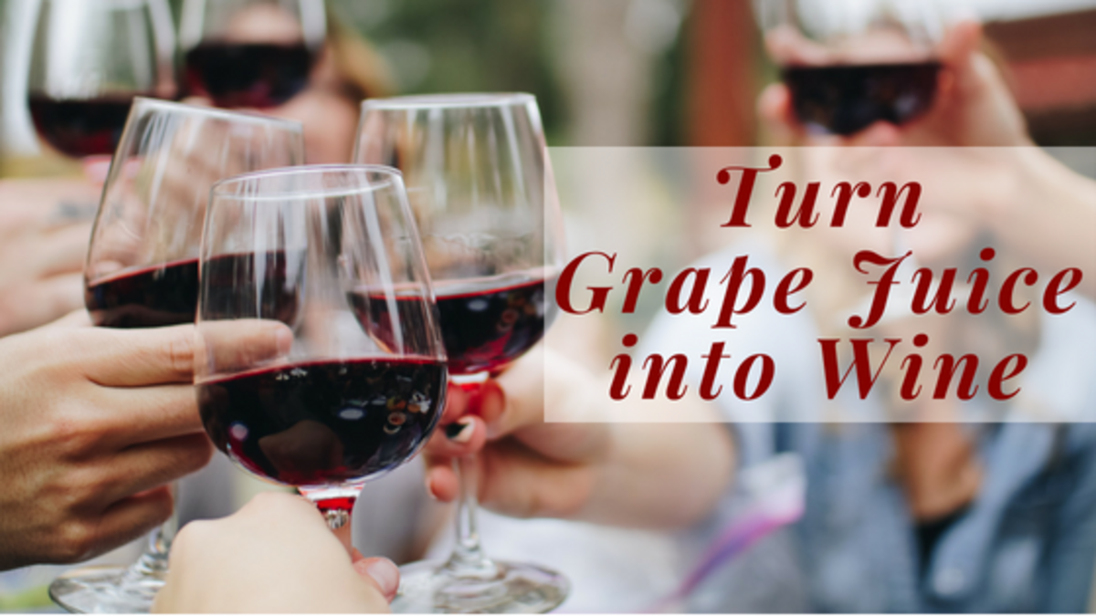 How To Make Wine From Grape Juice Delishably Food And Drink,Pizza Toppings Pizza Recipes