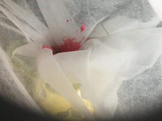 This free muslin bag worked well