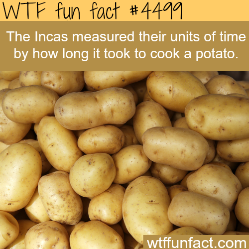Potato fun fact
