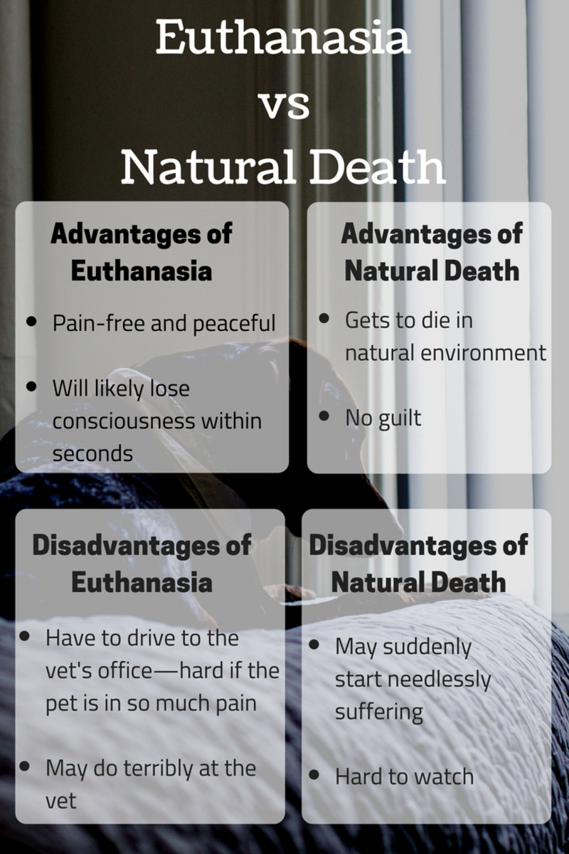 euthanasia for humans pros and cons