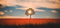 A Discussion With Manatita on Spiritual Philosophy - Part 9