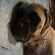 sque19 profile image