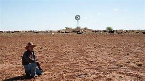 Now look at this piece of land it is so dry, there is nothing for the farms animals to eat. No farm animal can live here for long, unless you hand feed and water them manually. When thigs like this happen, it is very hard for the farmers to survive.