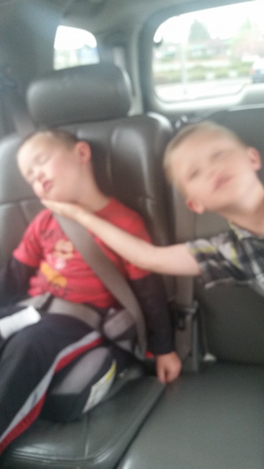 Sometimes they do get along, even in the car.