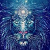 SheamusofCork profile image
