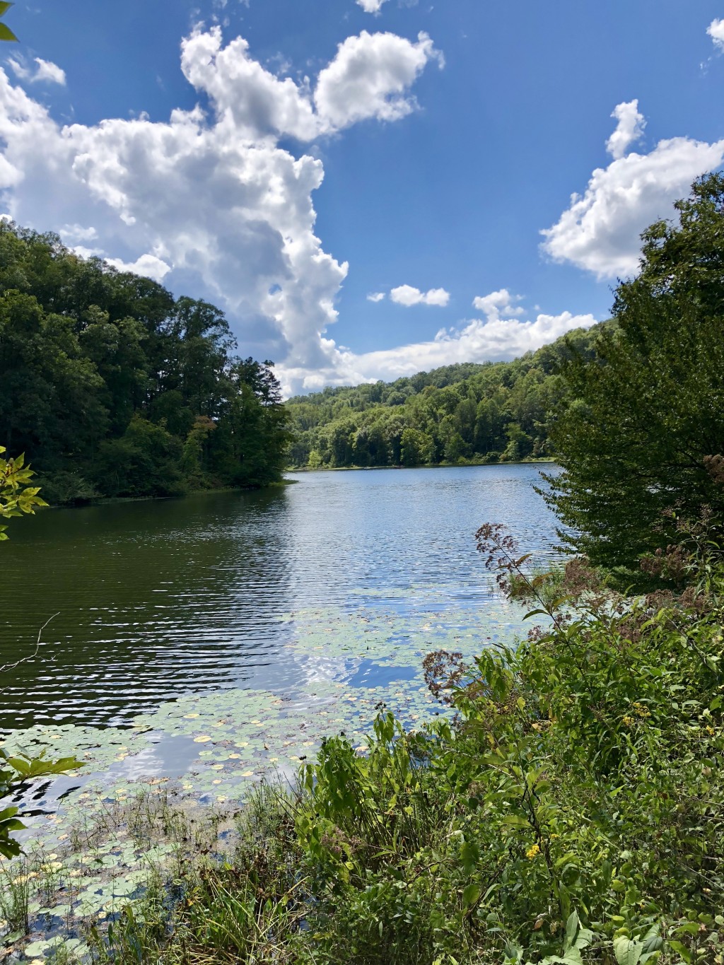 Best Ohio Camping Iron Ridge at the Beautiful Lake Vesuvius SkyAboveUs