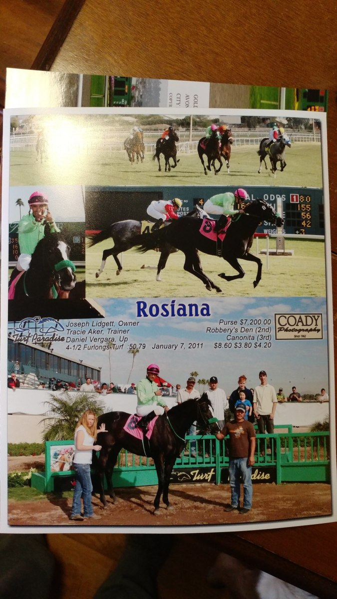 My horse Zoe, formerly "Rosiana" the racehorse!
