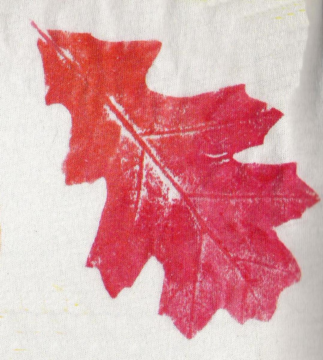 Do-It-Yourself Nature Crafting: Leaf Printing, Stamping and Fall Learning Fun