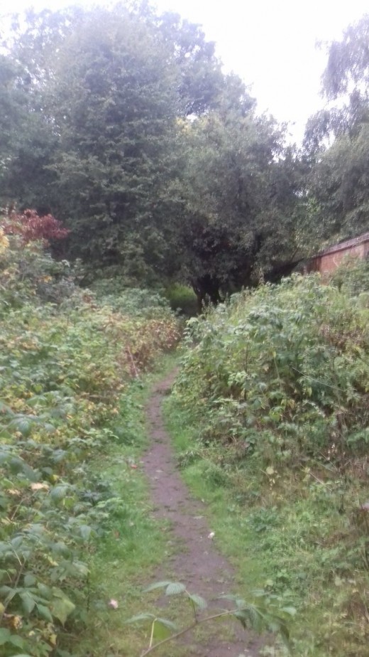 A photo of the pathway leading into the walled garden at Elmdon Manor Nature Reserve.